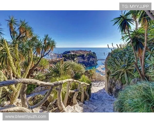 摩纳哥在线娱乐：探索奢华与创新的完美结合