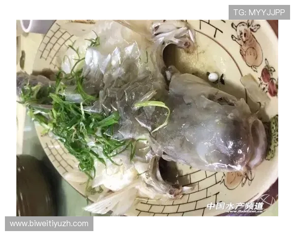 博鱼体育入口官方入口指南,详细步骤帮你快速登录畅玩体育竞猜与投注